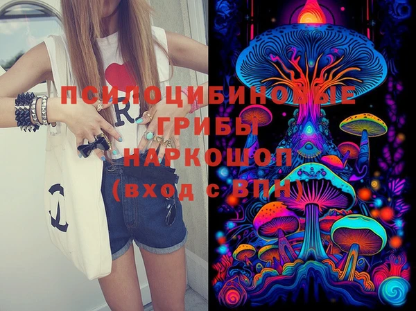ешки Абинск