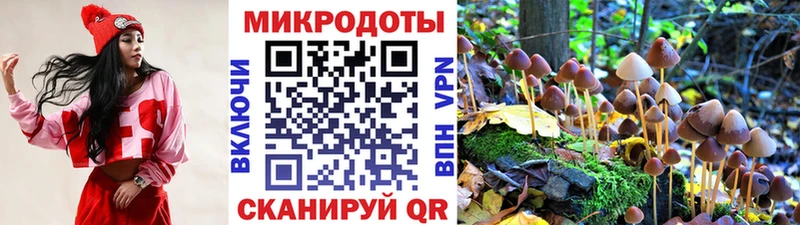 Псилоцибиновые грибы MAGIC MUSHROOMS  Тотьма 